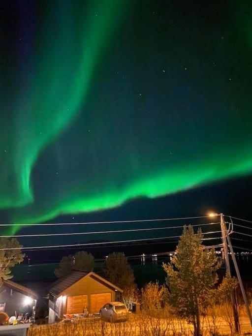 Vikran Apartments Na Koncu Swiata Eksteriør bilde